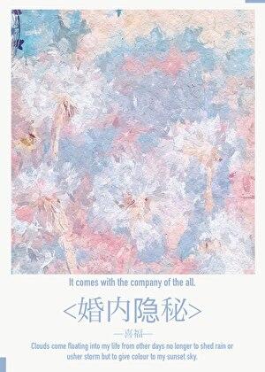 婚内隐秘