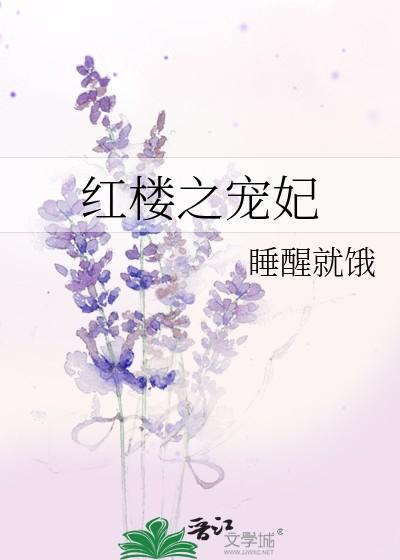 红楼之宠妃