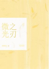 微光之刃