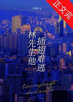 林先生他插翅难逃