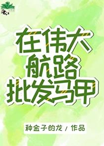 在伟大航路批发马甲