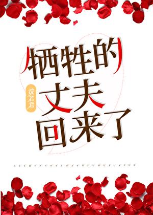 母上攻略重制版