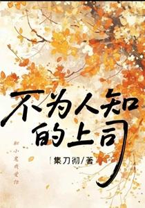 不为人知的上司