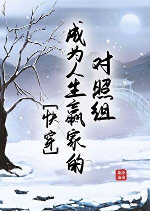 成为人生赢家的对照组[快穿]