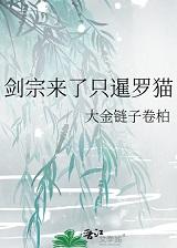 剑宗来了只暹罗猫