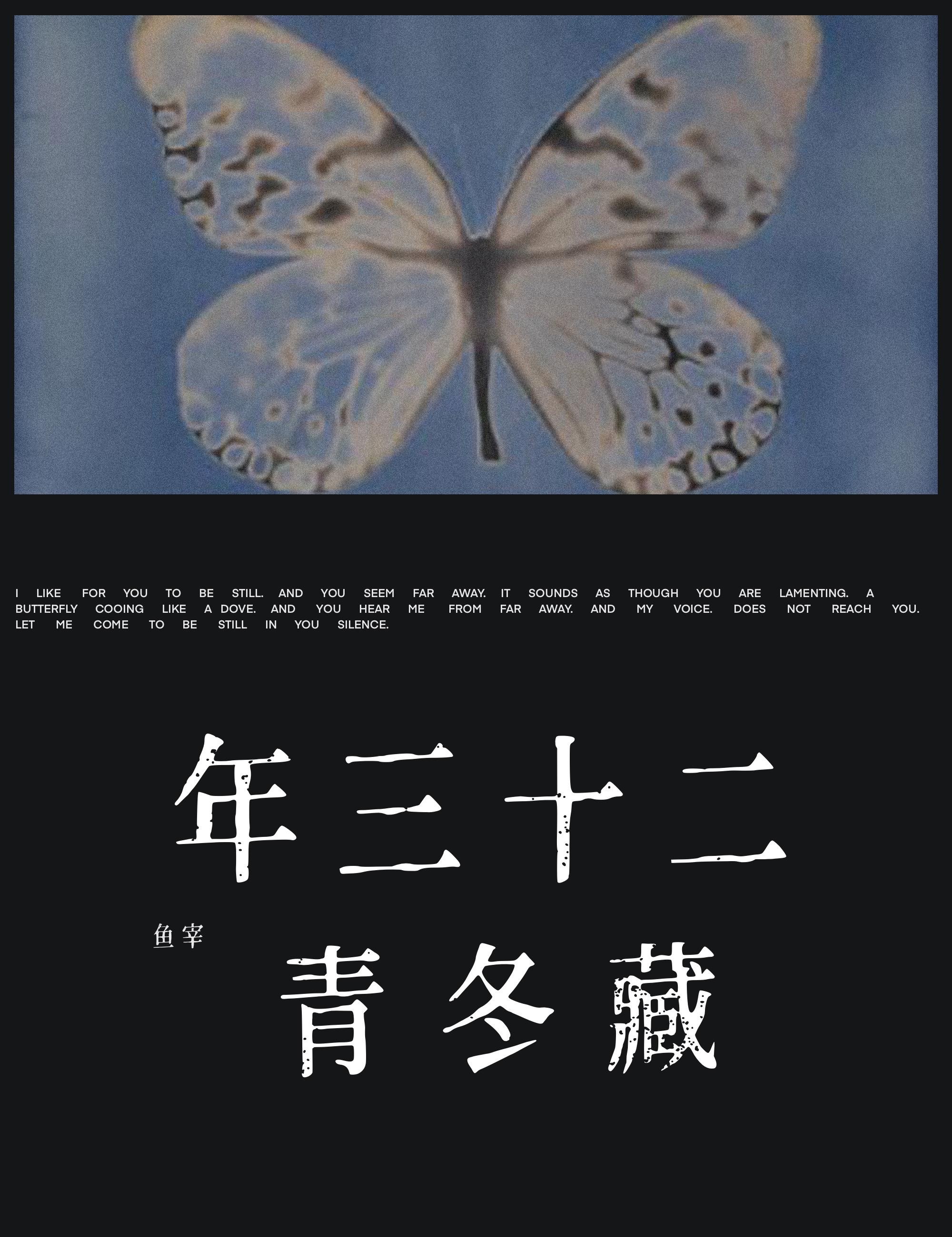 二十三年藏冬青