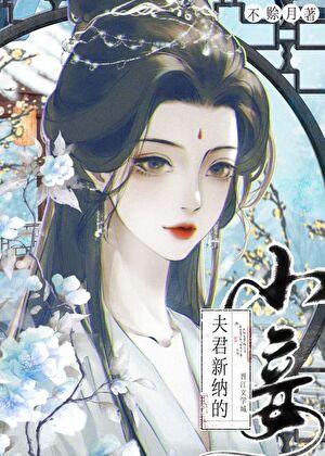 成为清冷王妃的朱砂痣