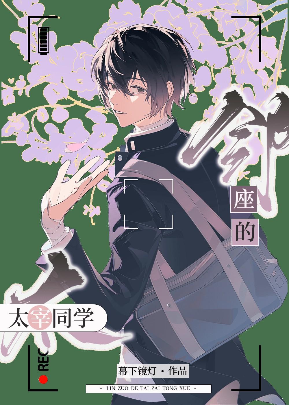 穿书成赘婿文的前妻