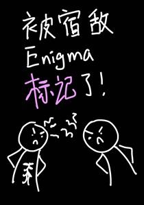 被宿敌Enigma标记了！
